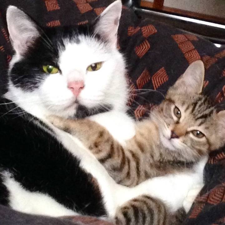 8f60e2bf f0c6 4feb 927c e632dd257e55