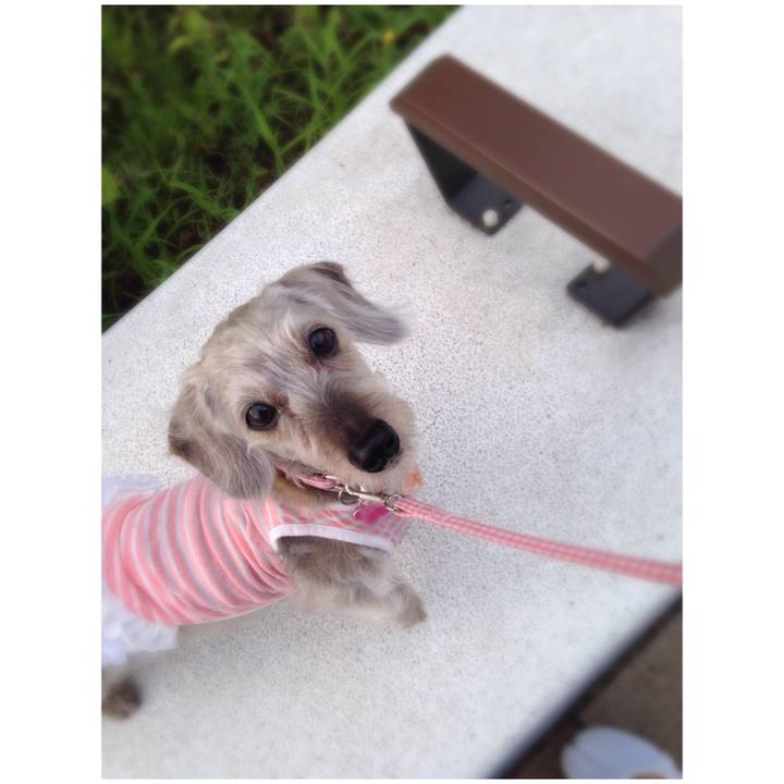 8f6131fb 443d 4c19 b6dc eb5ae0af0587