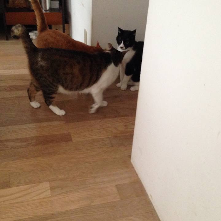 8f615b22 8a19 4b0a b533 f02c1427f179