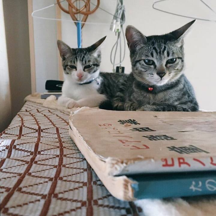 8f616dc4 0707 46c0 9c4f 233ac8397fd3