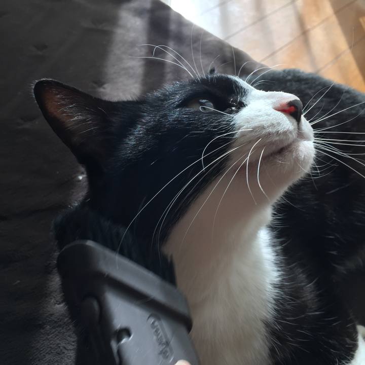 8f628ce2 9a2b 457f 8dbd d50d3434b468