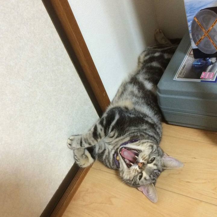 8f62fb88 0244 4971 a2e6 1d30b04bd32a