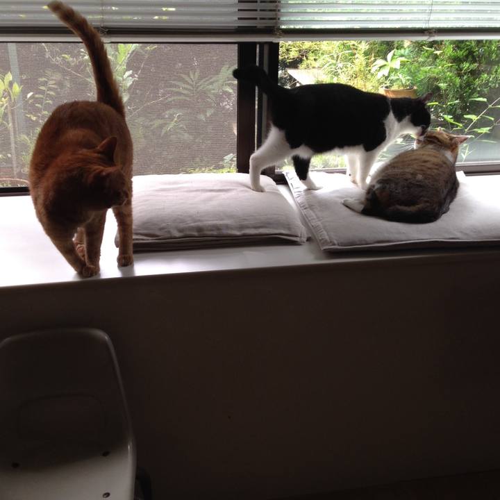 8f6446fb 7023 40ce b38b a948dc3840af