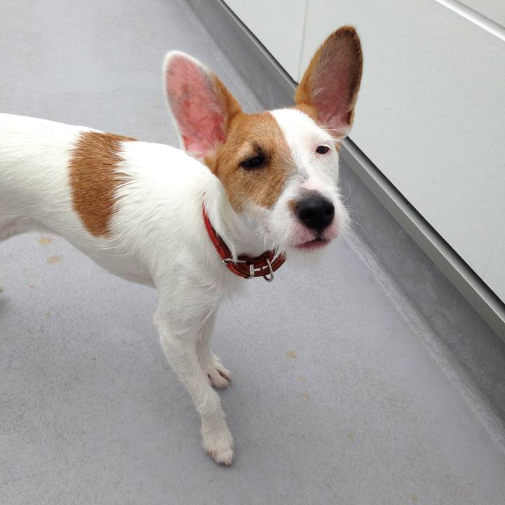 8f64ab17 f3e8 4ac7 8f1e fba90443c993