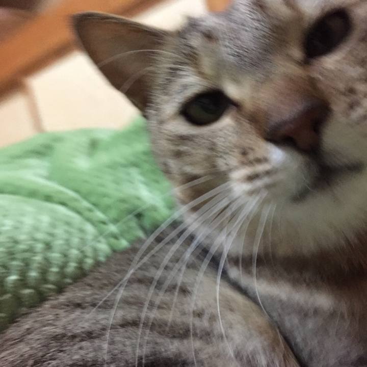 8f65301c 4782 4e50 aee5 a476f4728442