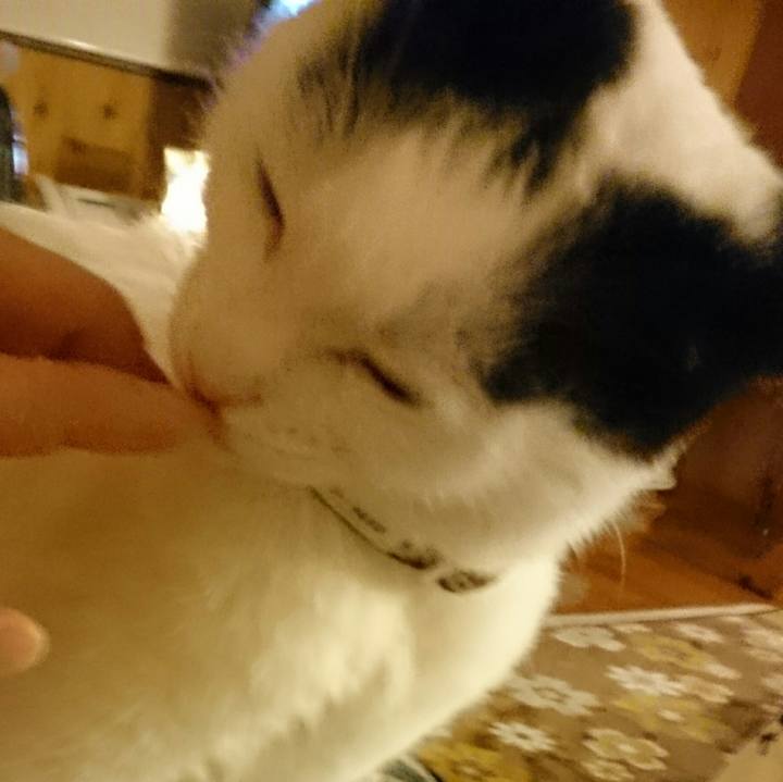 8f65a54e 636d 4587 9005 b1dcfccd2013