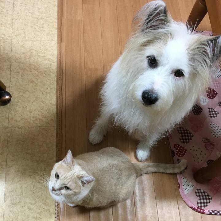 8f65b03f e04c 423e be45 4d76303645a0