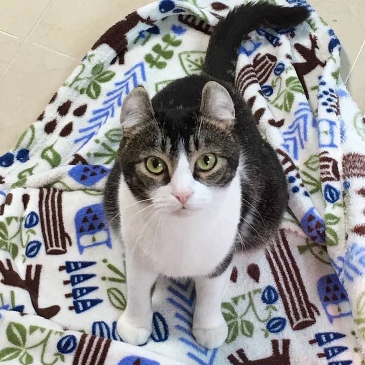 8f65c3fe 627c 4556 93ef 79ae8bee00ba