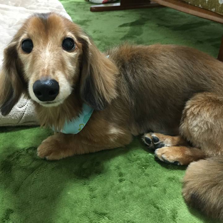 8f666c58 803f 48fe 89b3 576fa75c3f30