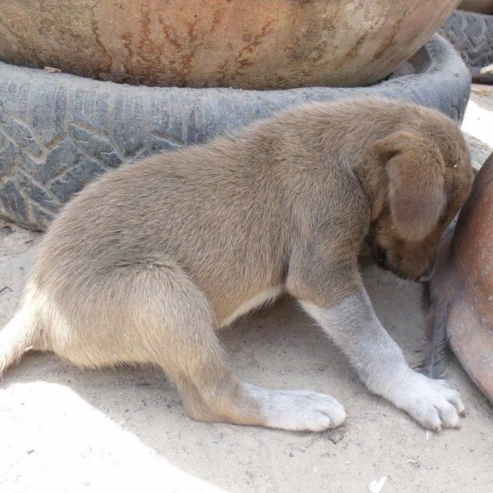 8f670513 ae97 4d7a a9f5 601b3f556d66