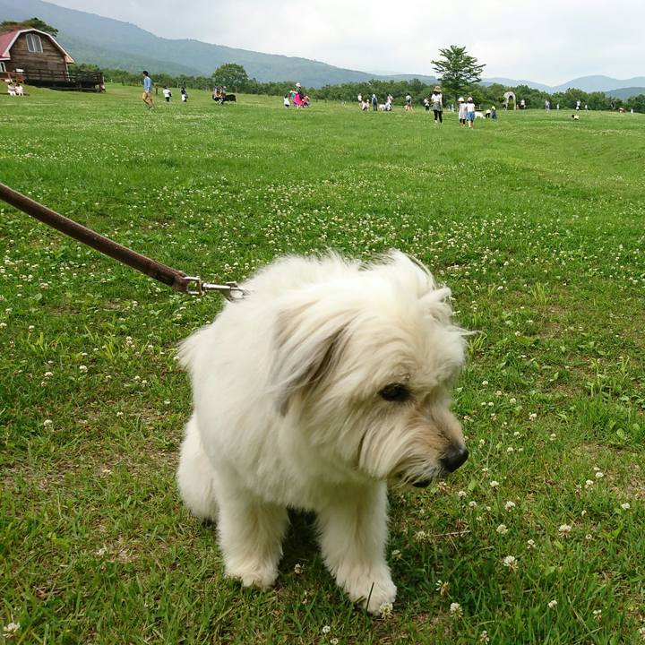 8f672123 2705 4818 99cd 4737d6208beb