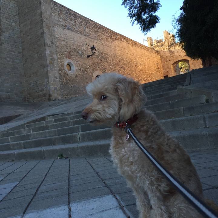 8f6724db 0b65 43ad 838c e18dd4132771