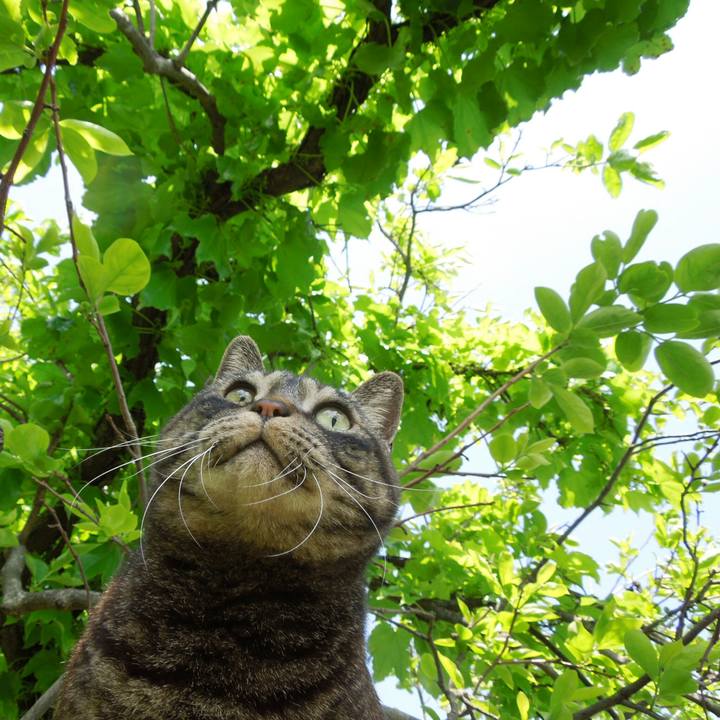 8f6776ac bc07 4cc6 ba05 dade4f2a2f81