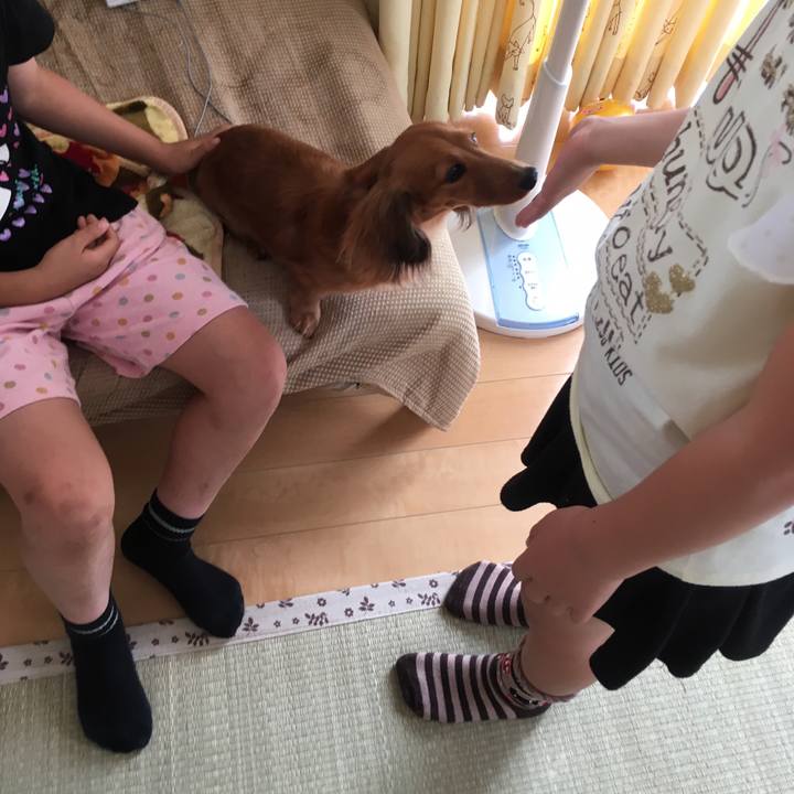 8f67c9d6 268d 4dd4 906f d1f2d53c133e