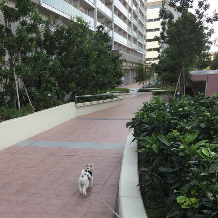 8f683376 2f88 4116 a817 8220da4a8ed6