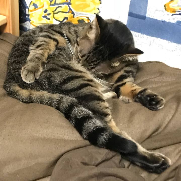 8f68bc8d 2911 40e3 8b8d d1a01a0dbcf8