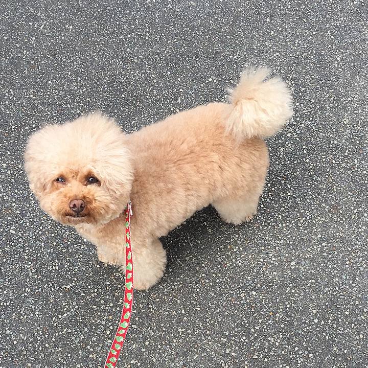 8f68d51f c54d 4207 8412 d847e9b1b5ef