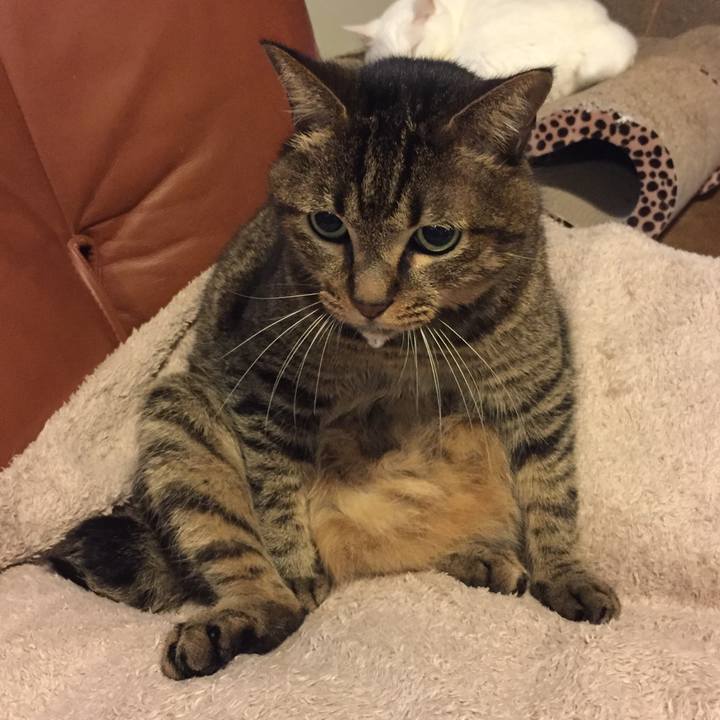 8f6ad137 e501 4ced a2e3 a2c2248cb5c8