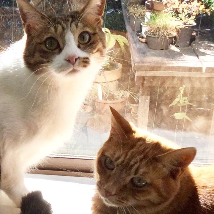 8f6b3b64 0ff2 494e 8eea 264314193291