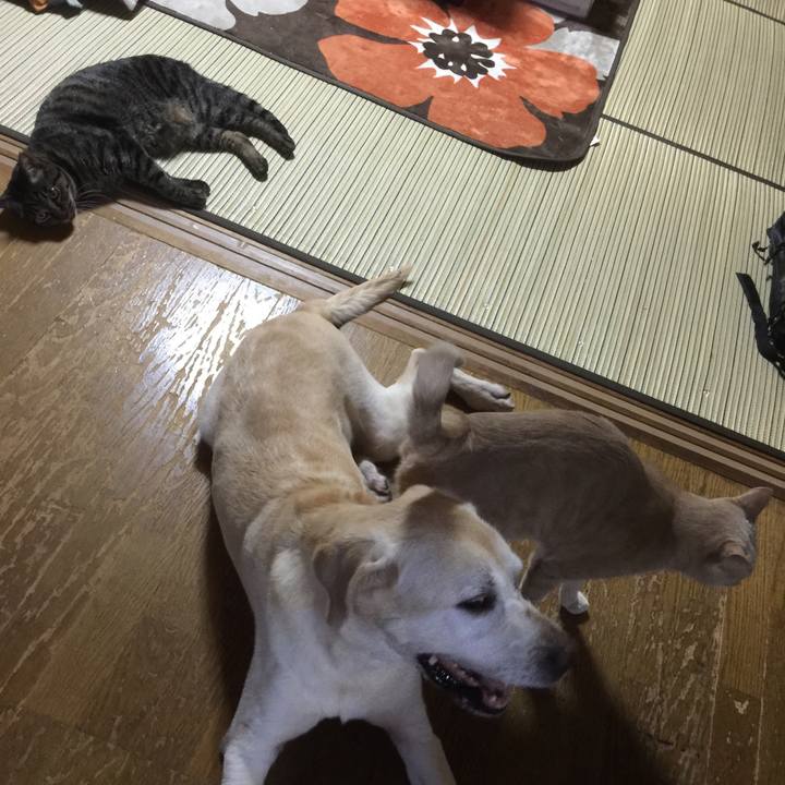 8f6b5178 bfb4 40e7 adf5 e61995e8a4c2