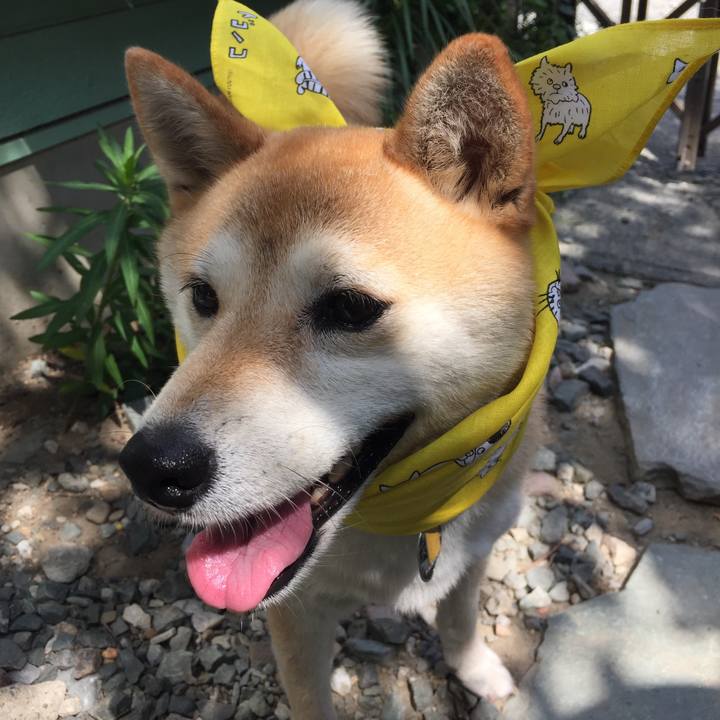 8f6be20f e604 444a bafd 7bdbc21e4487