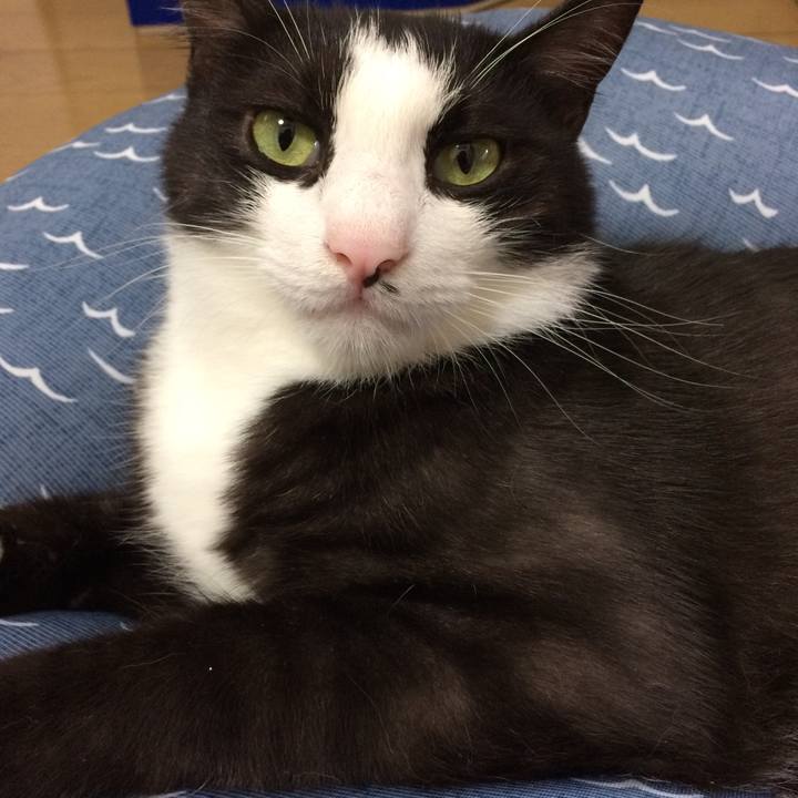 8f6c3fa9 d189 4d1f 97d8 b911def96be6