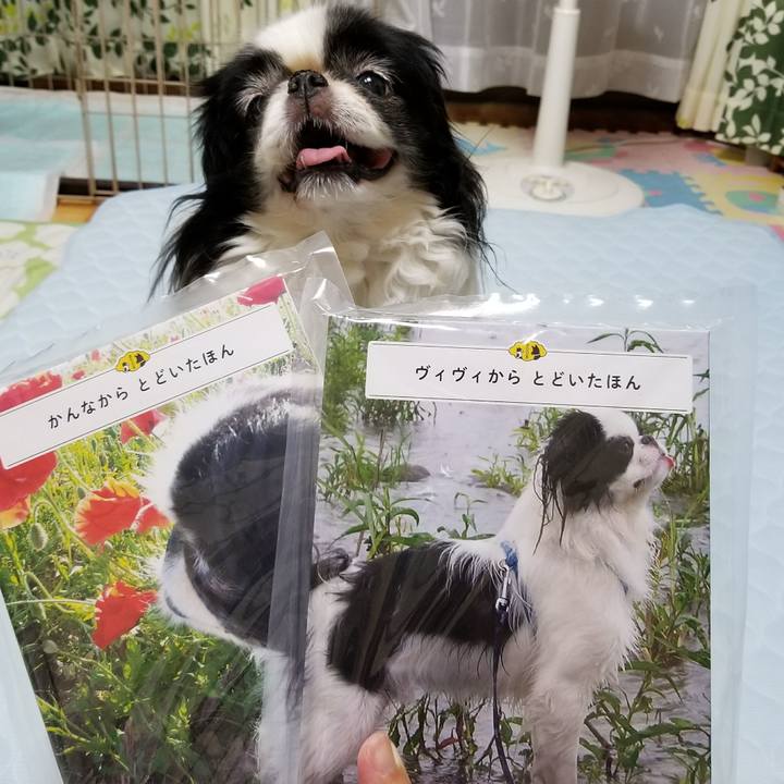 8f6c833f 091e 4591 8058 5ff7764ad8ba