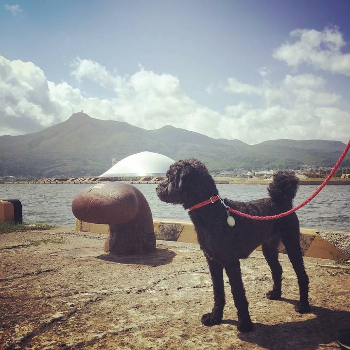 8f6cd83f 23a4 41b0 bb2c cdcfa50b2192