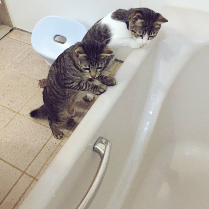 8f6e18a3 1797 4ca4 86a2 d86e06ff7ebd