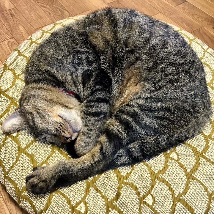 8f6e67e2 f82e 4047 be9f 5b78207e9a0b