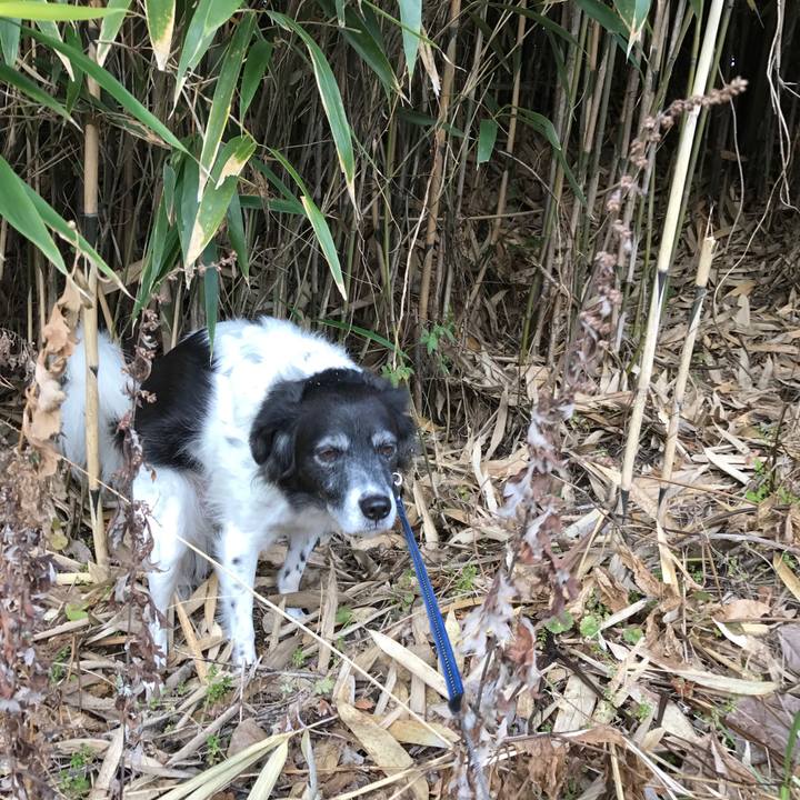 8f6e9d6e 8ac5 442f 892f 94b2f20ec079