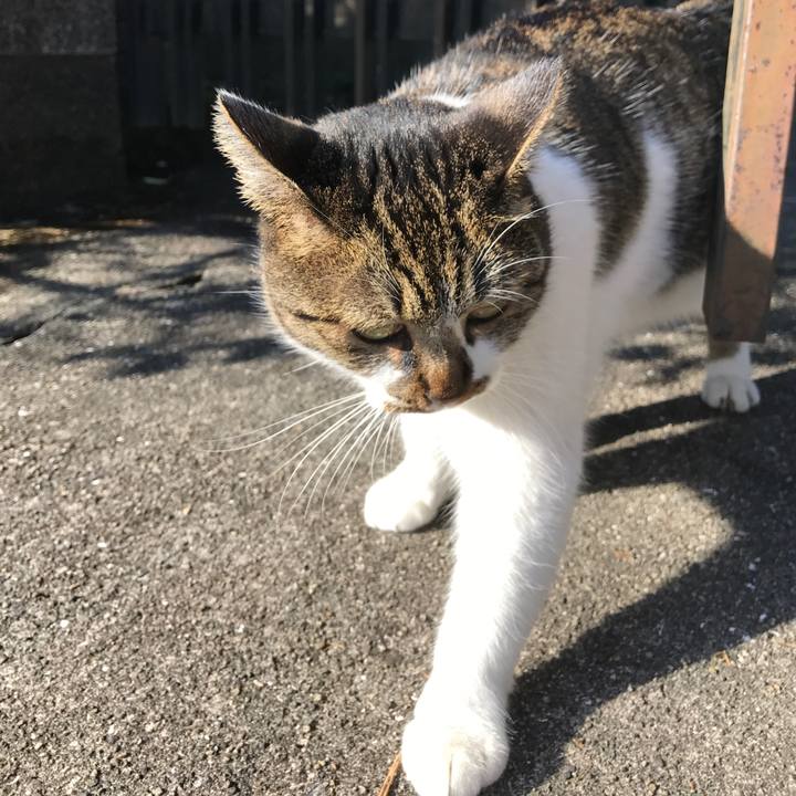 8f6ef3e4 157c 4761 855a 4f1b5a5b7261