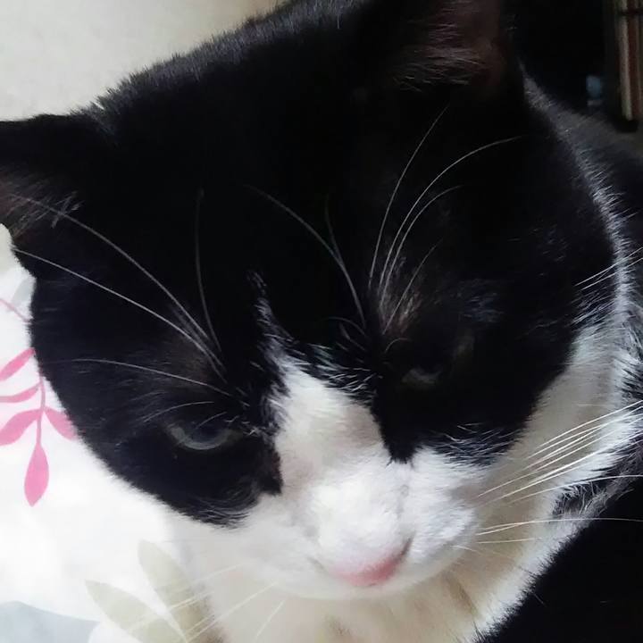 8f6f030a 082e 45c6 89cc e36bcd460adb