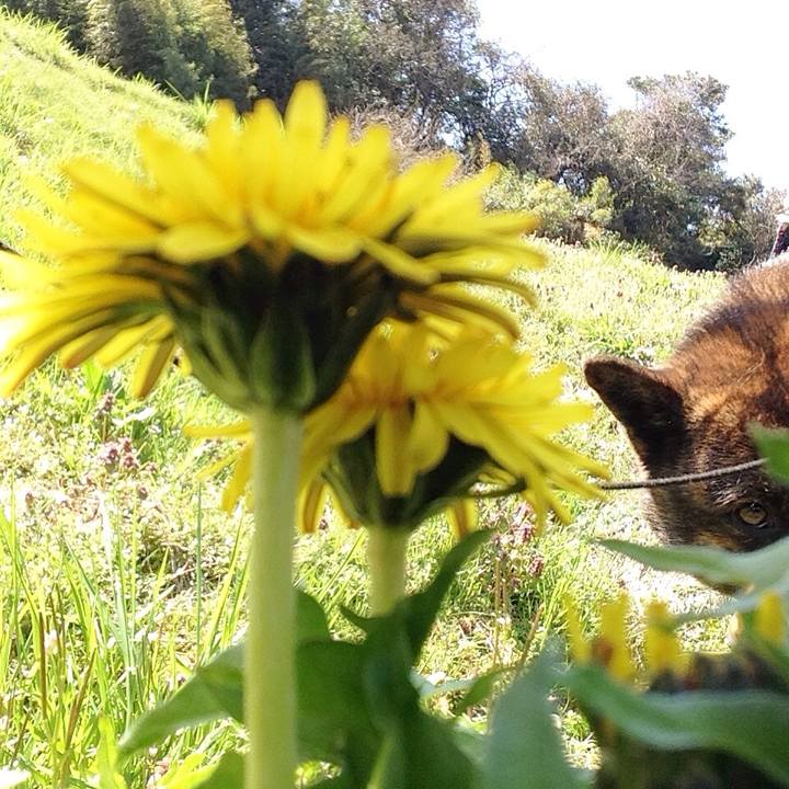 8f6f9d59 0c44 46f0 857b ba99f0f99abb