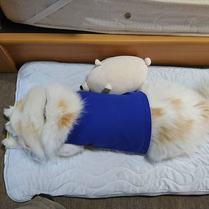 8f70d589 3055 4629 9fff 049b3815e963