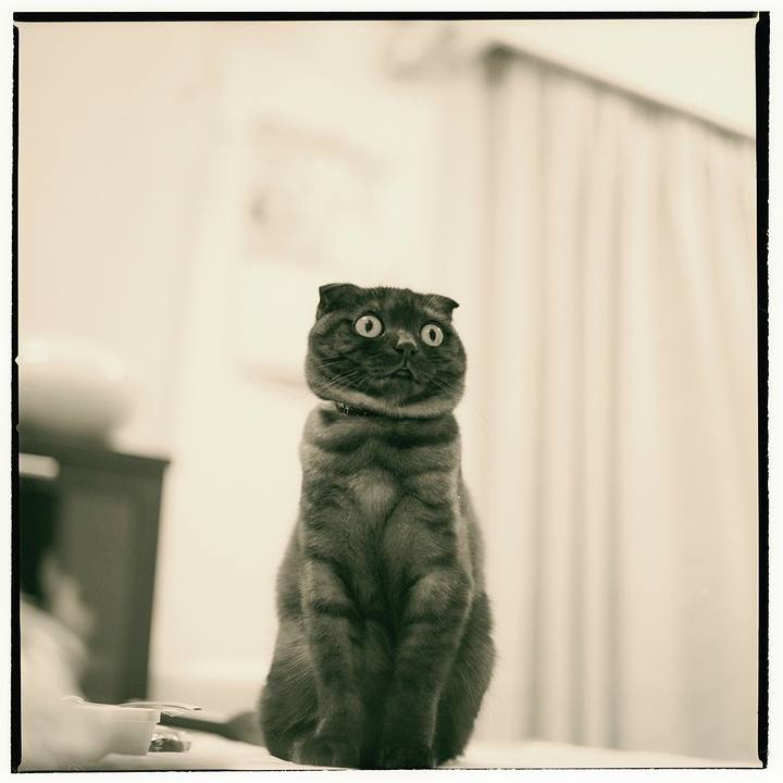 8f7109b2 85b5 4e4a 9291 c0498512e24b