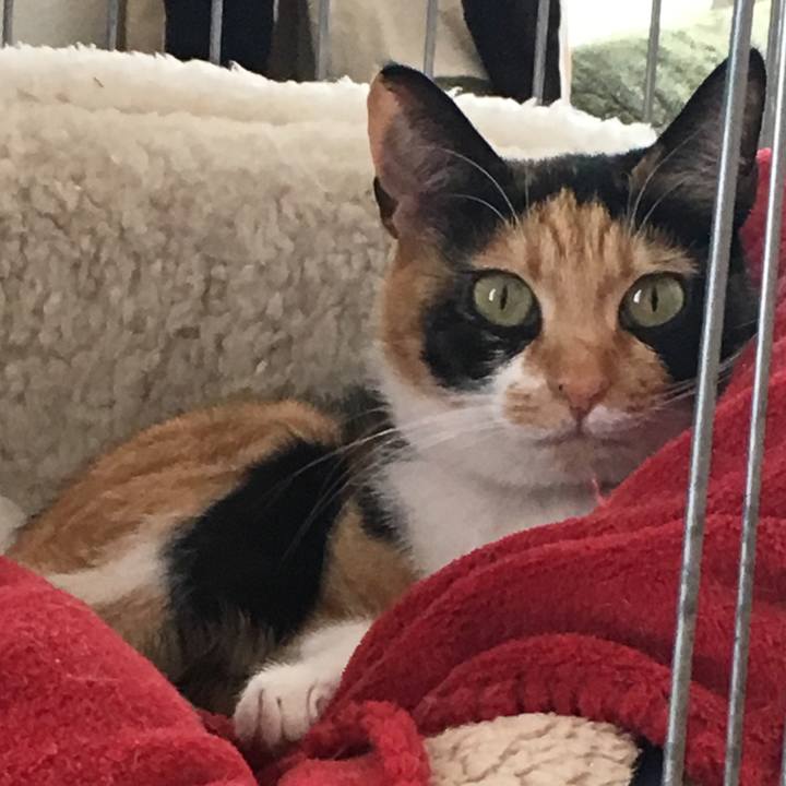 8f716b8e 68cf 4b2f 8d8b 97e6b45dada5