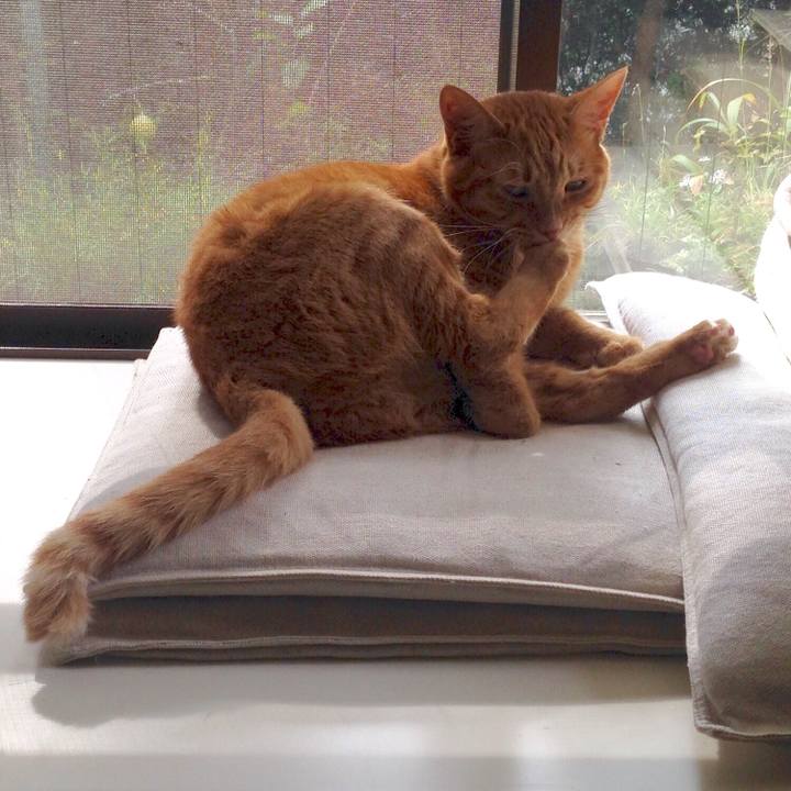 8f71937c 5746 4eed a368 e8a7b0c8d265