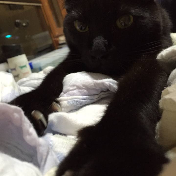 8f7265df 0868 4714 bafc 41f0f4ff26bf