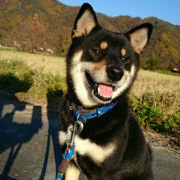 8f727687 48bb 4404 ae4e b021f9a49018