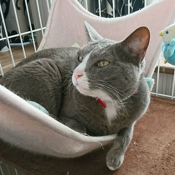 8f72cf85 eb0c 46eb 8030 ba03a64c0205