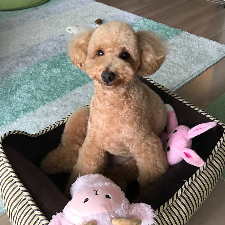 8f7396a5 e0d2 475b 9720 c7ec7d09df67