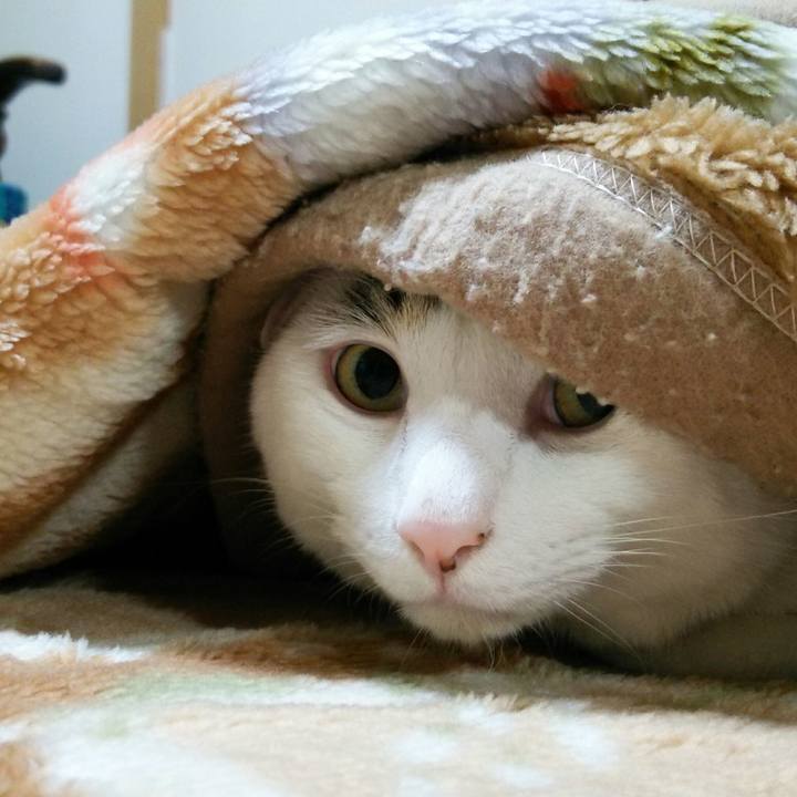 8f7425a7 3ee0 4aa3 a756 70980237211b