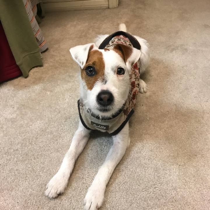 8f749d36 ccfb 44d6 8d22 daa3a28f8cba