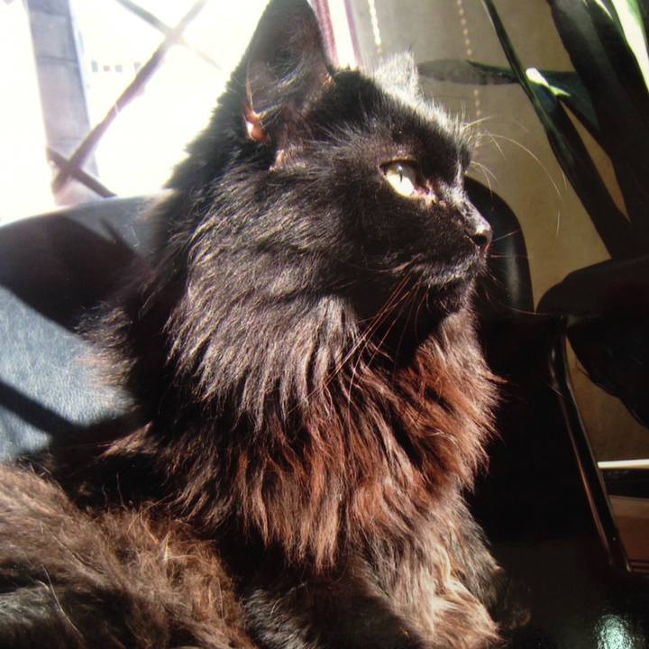 8f74a86b 662d 4c48 a80d 475093e2126e