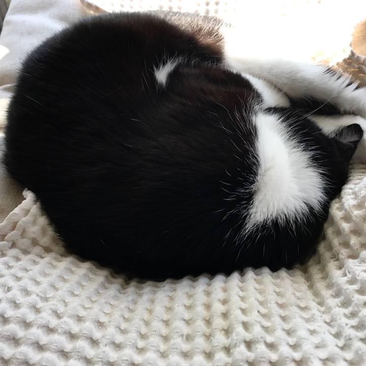 8f74beed 94d1 48a6 bc79 1d1c32503e66