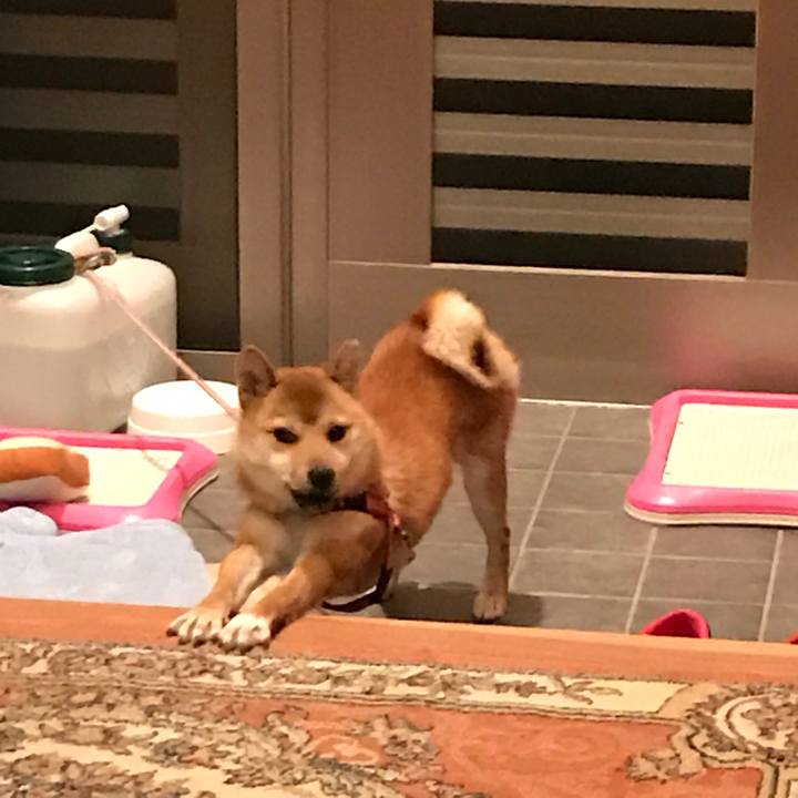 8f757f7a 205a 428d 8581 a5a28a6665db