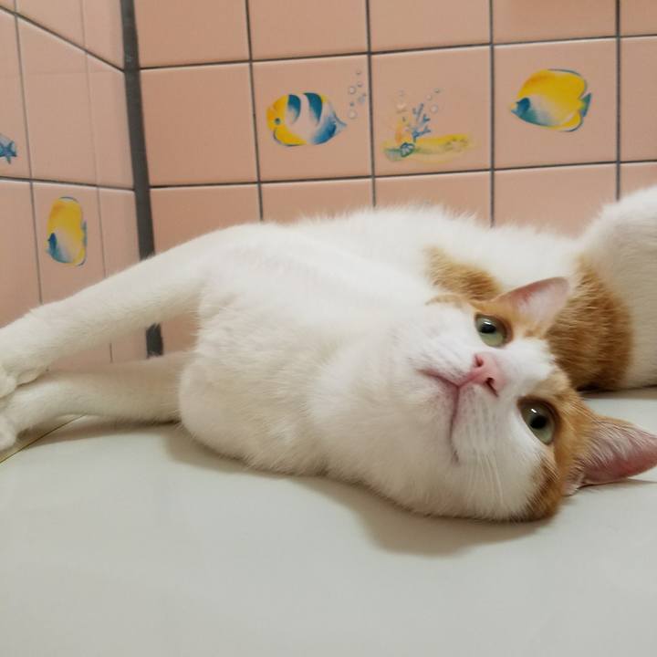 8f75d5c7 ec42 4655 8102 84f030006d96