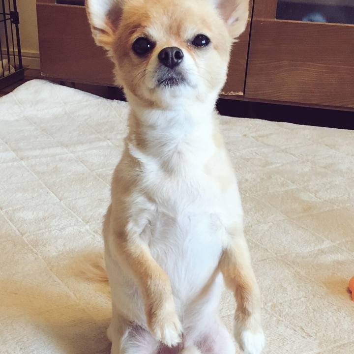 8f75d5f9 20d9 4c71 88a9 79e322a77c47