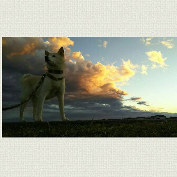 8f75e836 75fe 4b7b b2ce 5197c02bd47f